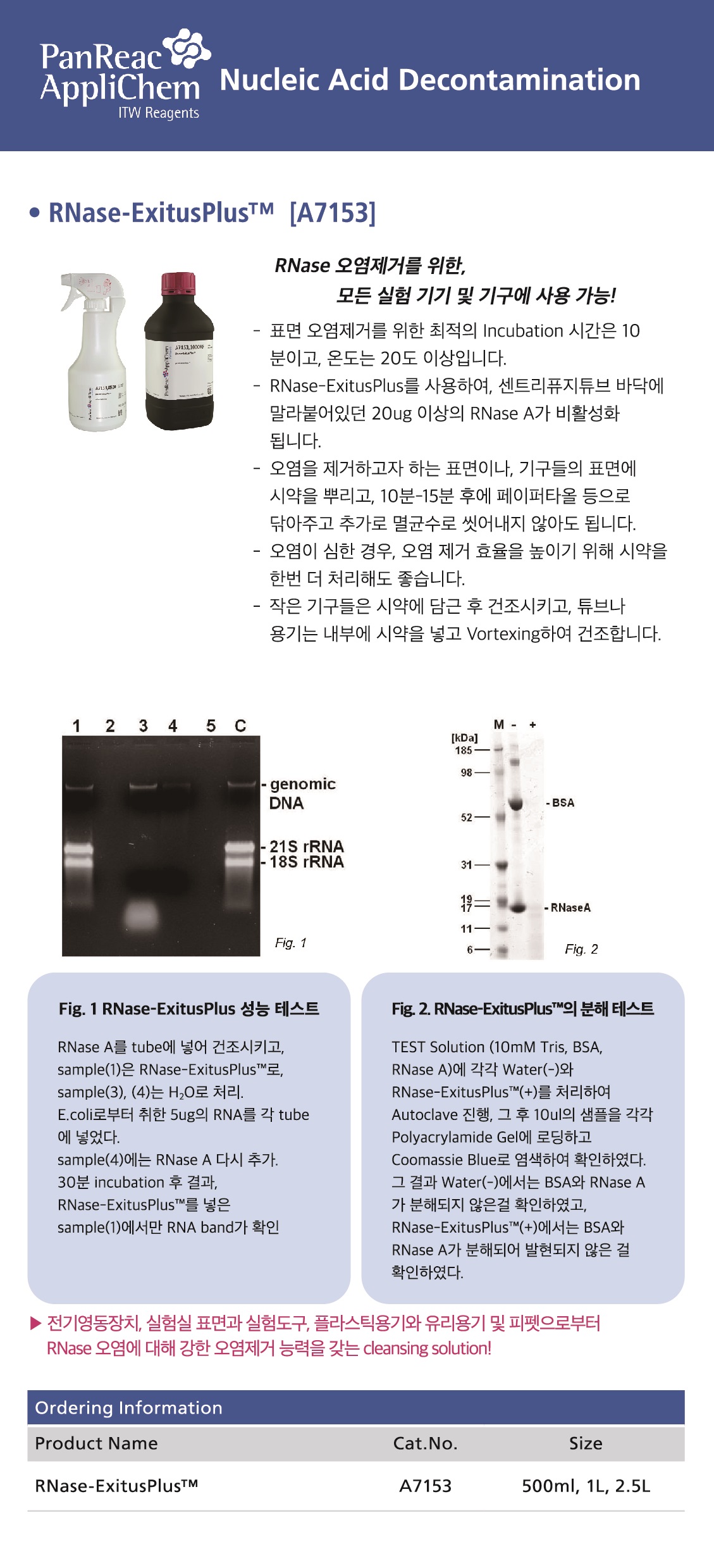 A7153.jpg