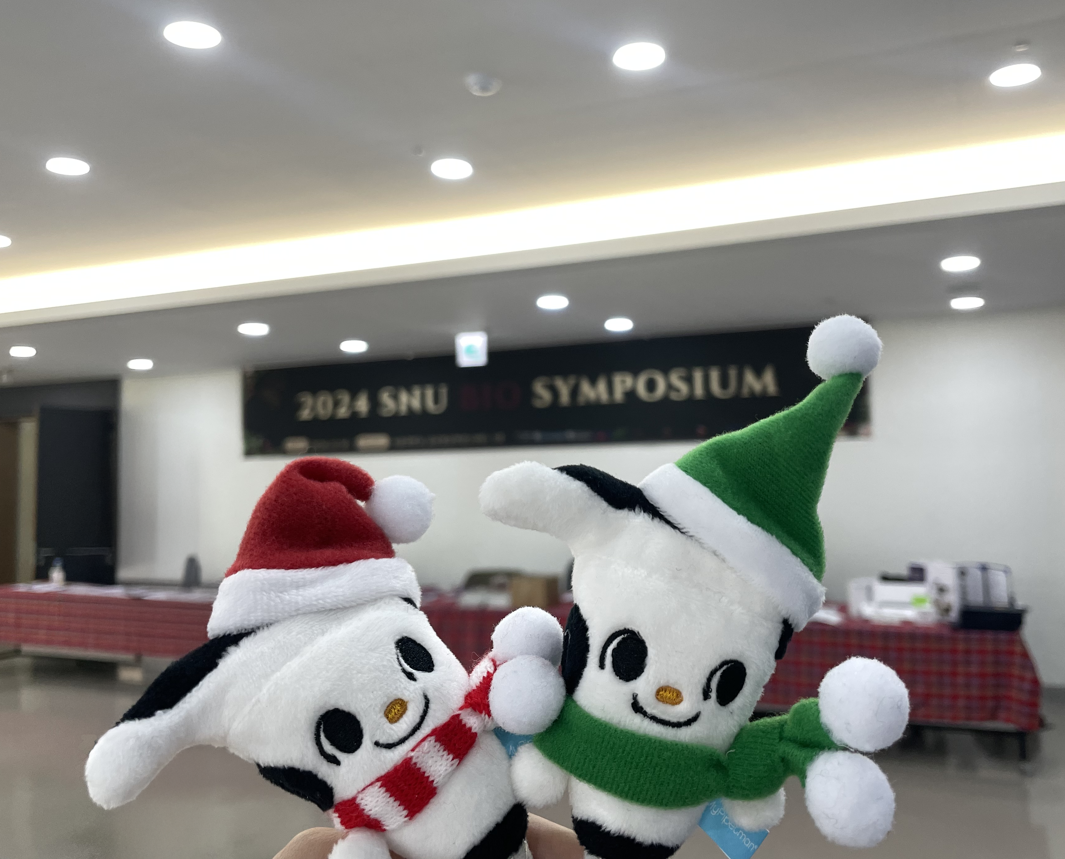 KakaoTalk_20241227_130611103.png