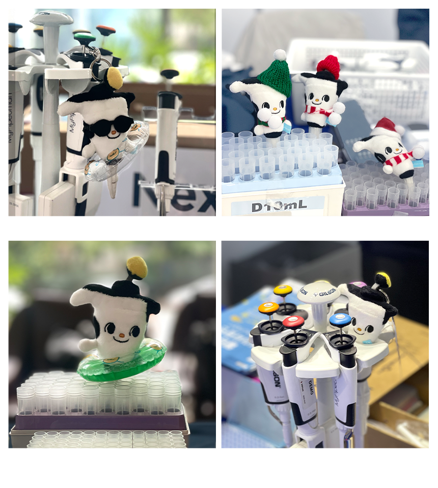KakaoTalk_20250820_210709404_05.png
