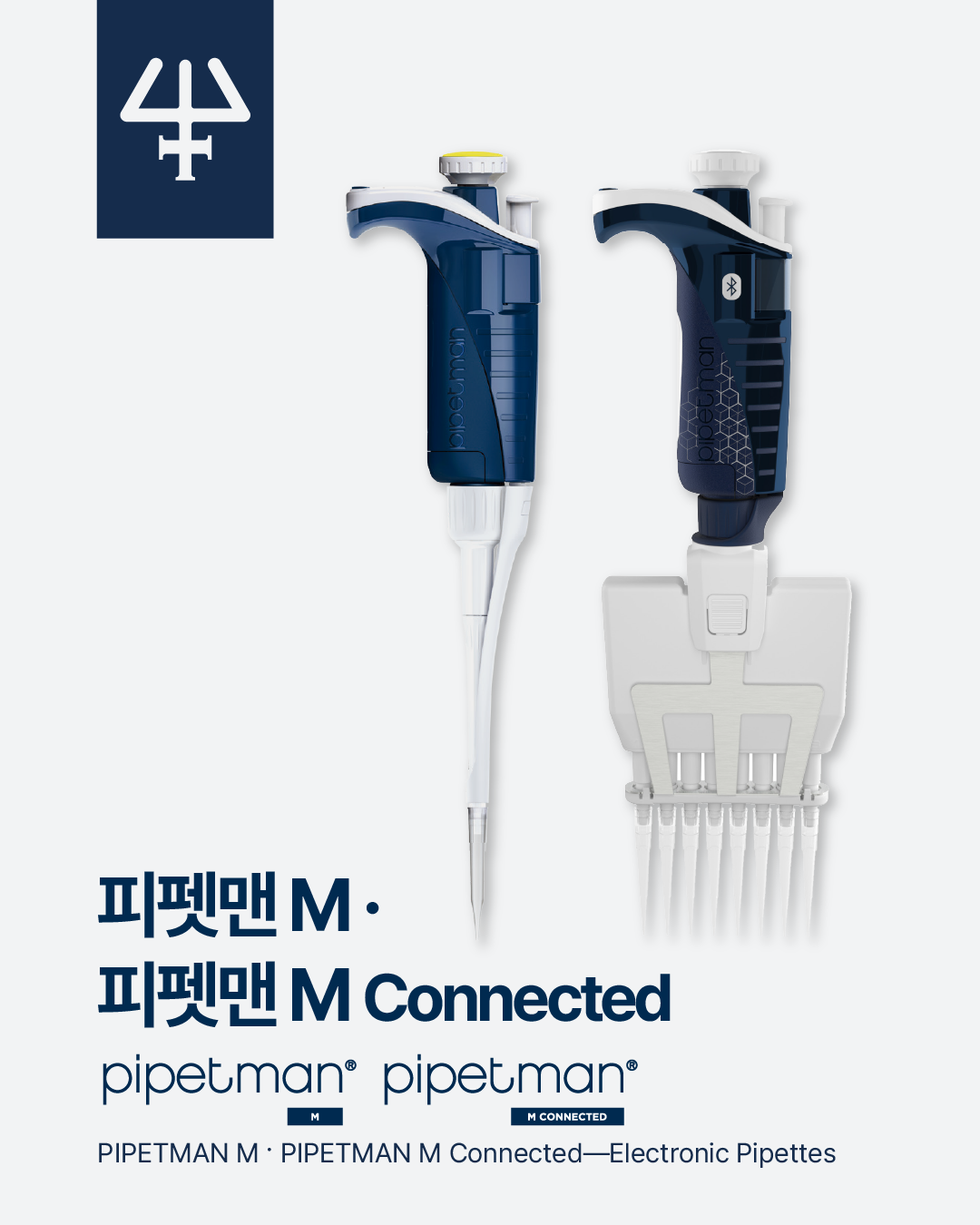 ����� M, M Connected (1).png