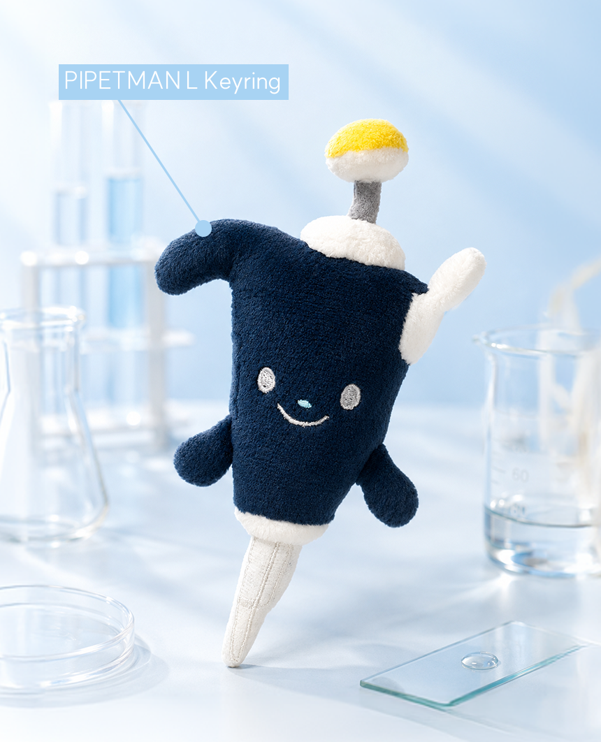 KakaoTalk_20260805_144006451_01.png